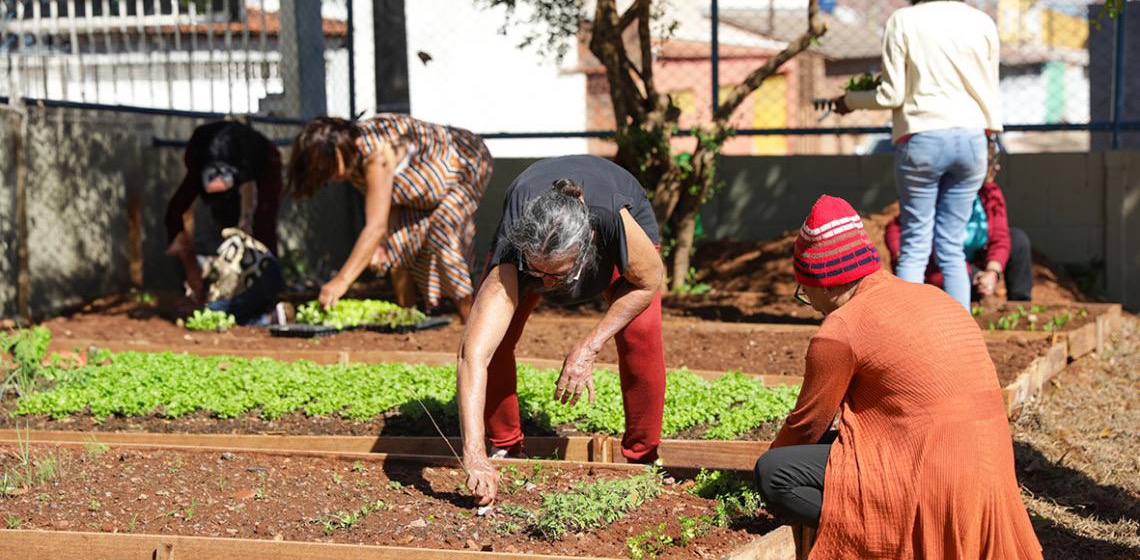 Hortoterapia vira ferramenta de cuidado e inclusão no Centro de Convivência do Idoso de Santa Maria