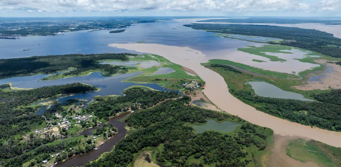Brasil, "Terra do Futuro"