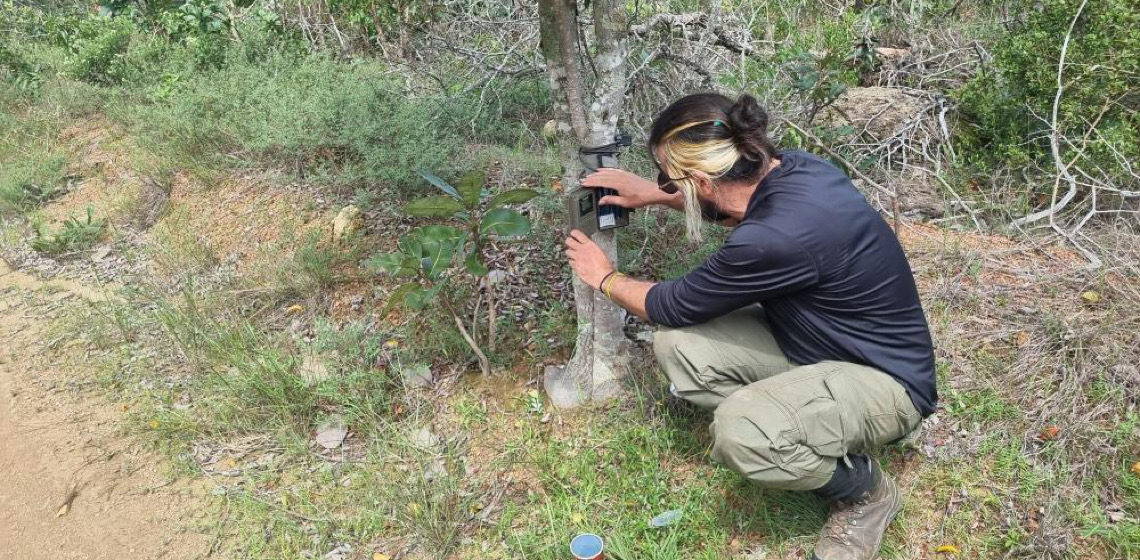 Programa monitora mamíferos de grande e médio portes no Distrito Federal