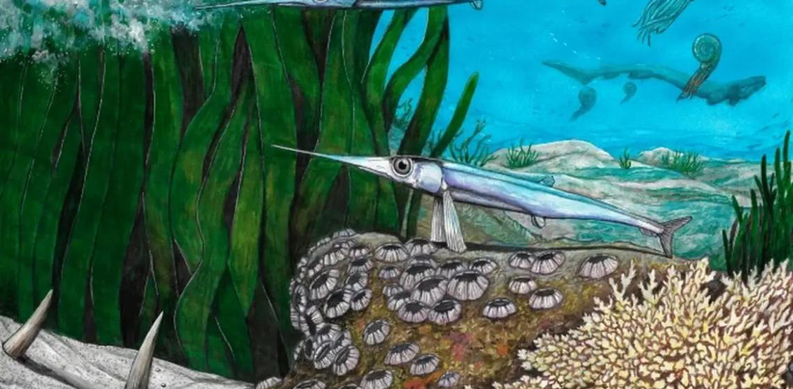 Cientistas brasileiros identificam nova espécie de peixe pré-histórico