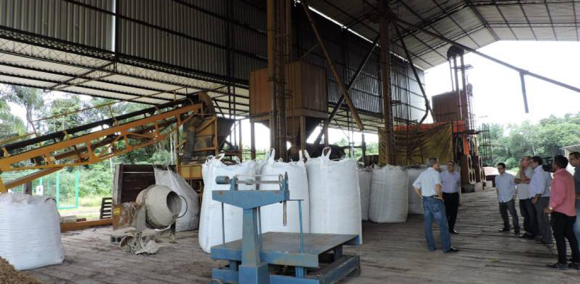 Caroço do açaí vira fonte de energia para produção de cimento