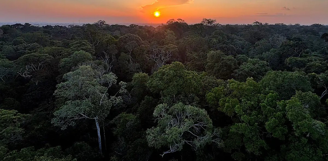 Países amazônicos defenderão fundo para preservar florestas