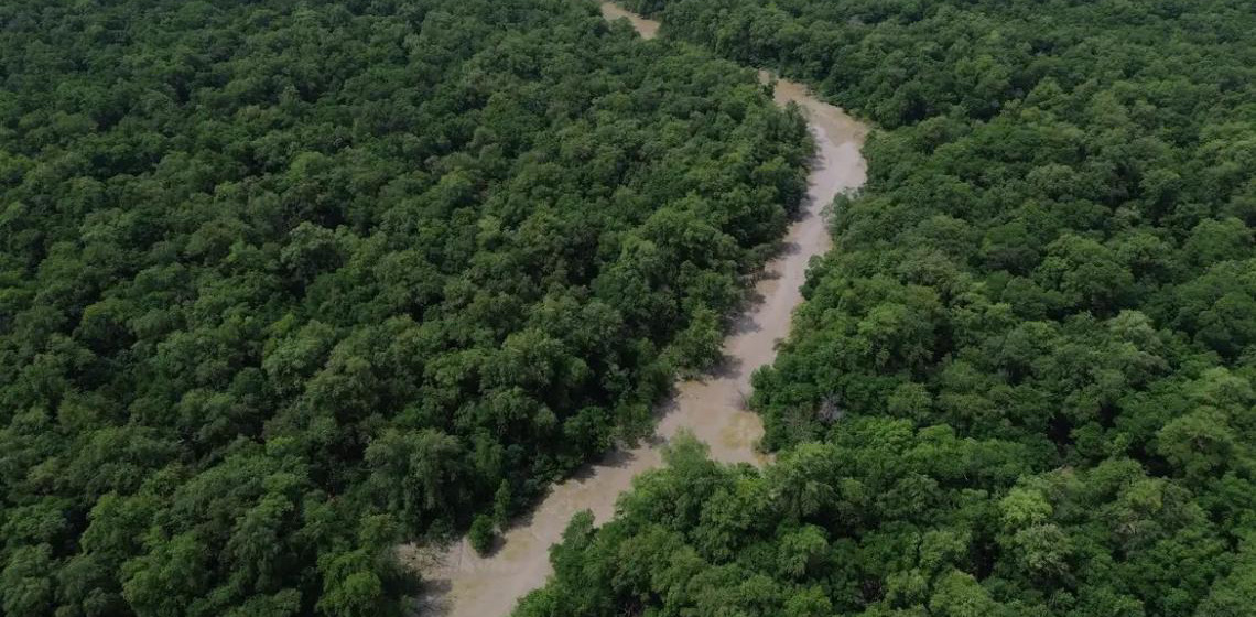 Programação do Dia da Amazônia mobiliza para COP30