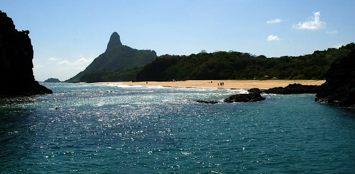 Ilhas brasileiras: Estudo revela presença de espécies exclusivas 