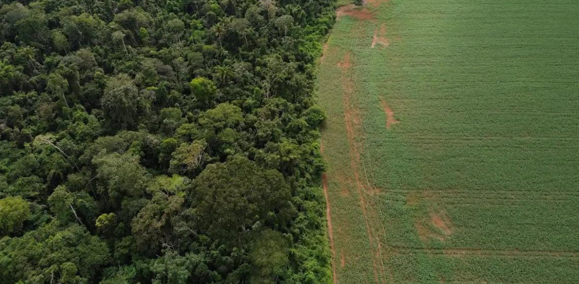 Estados e Distrito Federal devem padronizar Autorização de Supressão de Vegetação