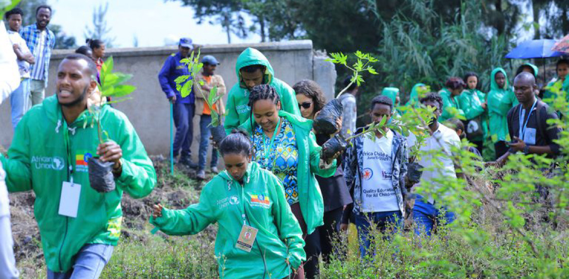 Mutirão das Juventudes COP 30 planta 300 mudas durante Cúpula do Clima da África