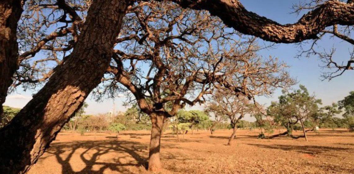 Com ações para os próximos 20 anos, Plano de Combate à Desertificação é aprovado