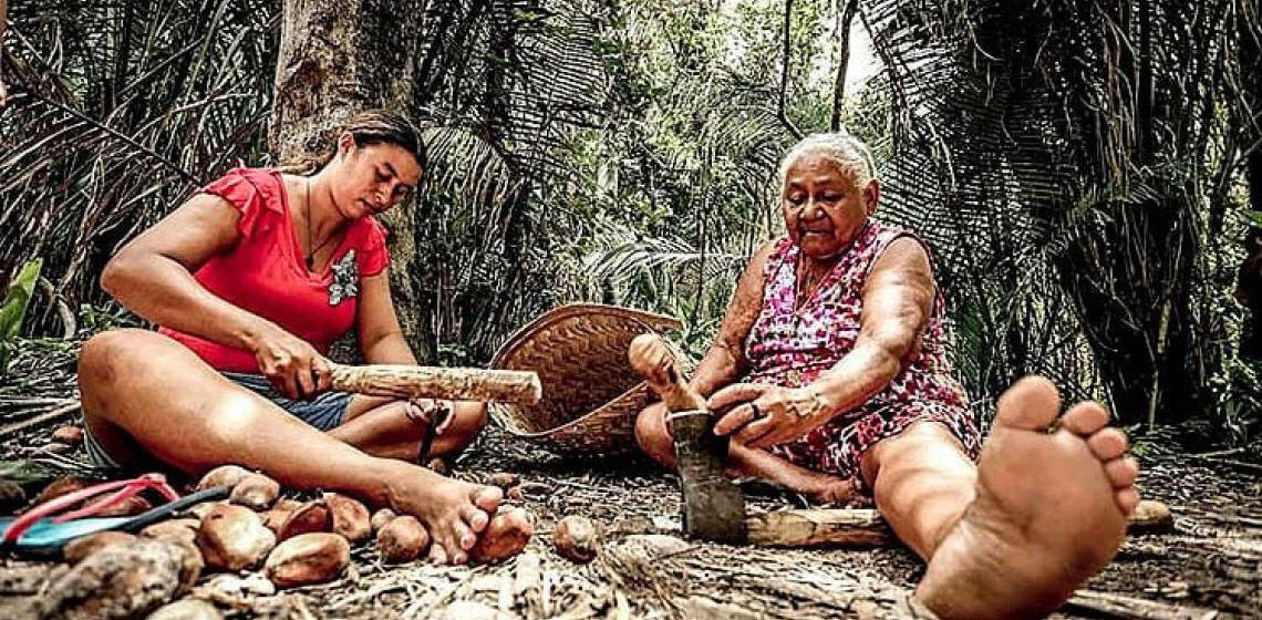 Dossiê denuncia ecogenocídio no Cerrado com conivência do Estado e avanço do agronegócio; bioma já perdeu mais de 100 milhões de hectares