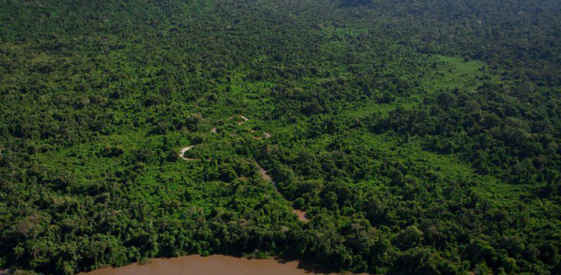 Governo brasileiro lança editais de R$ 79 milhões para restaurar áreas no Arco do Desmatamento