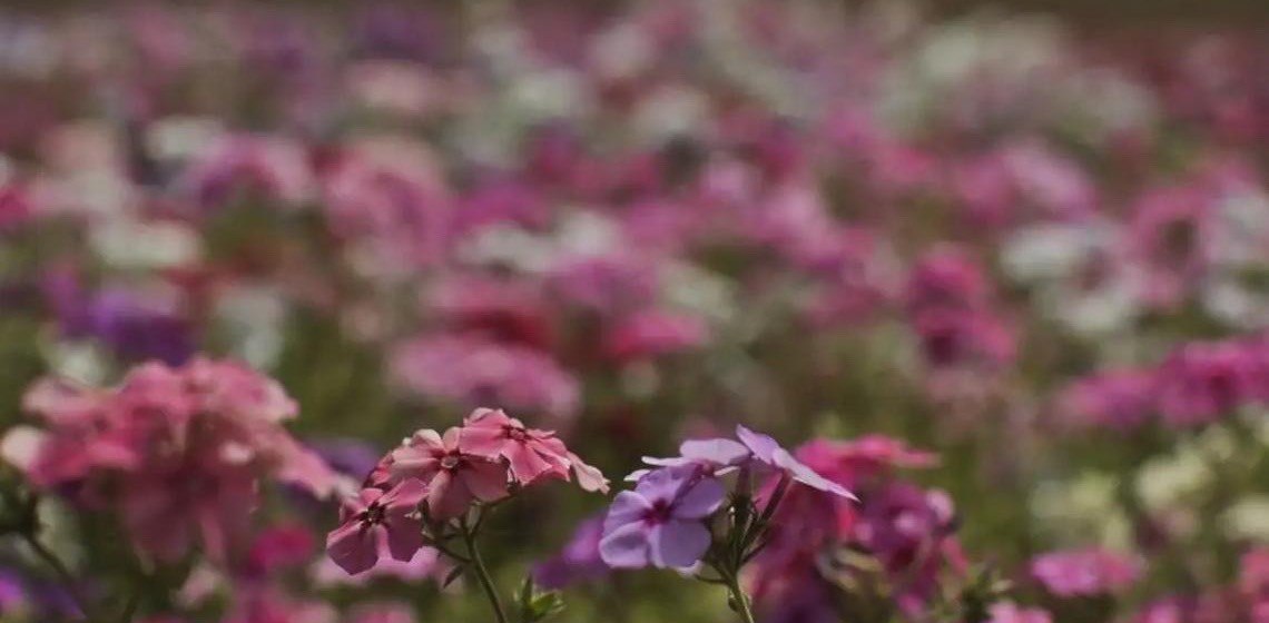 Primavera começa com chegada de frente fria, temporais e fortes ventos
