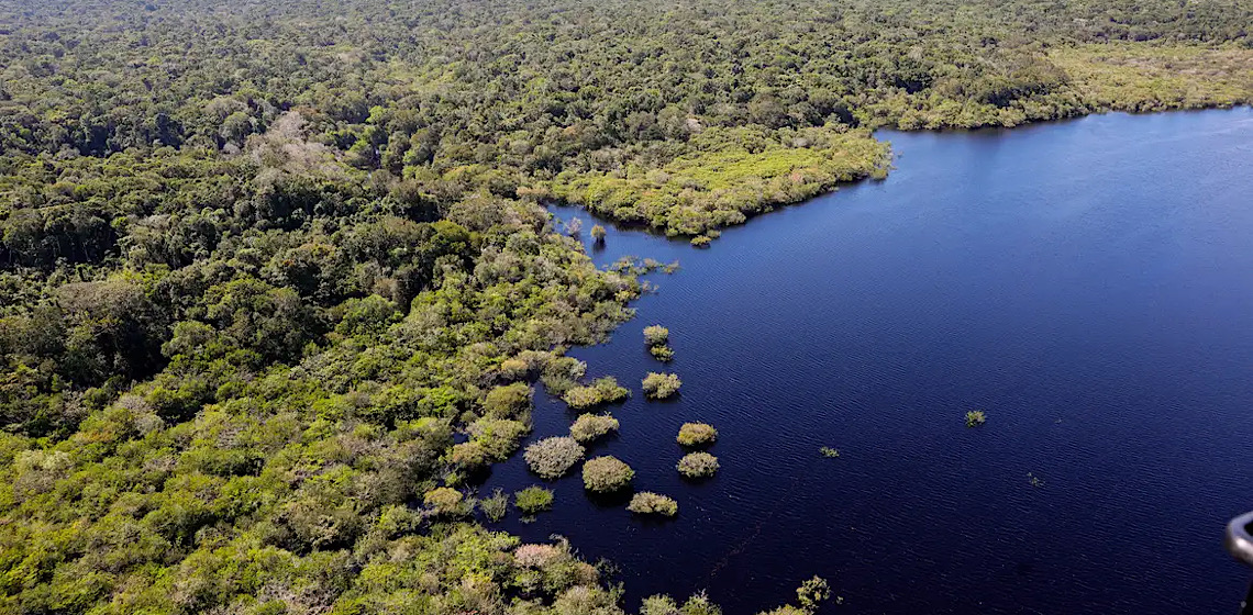 Entenda o Fundo Florestas Tropicais para Sempre, proposta encabeçada pelo Brasil