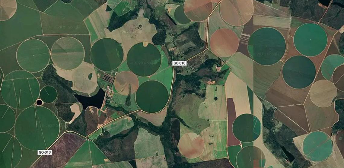 Cerrado brasileiro perdeu 28% da vegetação nativa em 40 anos