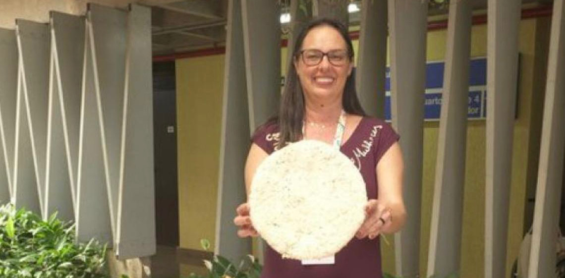 Empreendimentos solidários transformam resíduos em renda e preservação ambiental