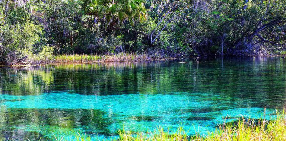 Água ganha protagonismo na agenda climática do Ministério da Integração e do Desenvolvimento Regional-MIDR rumo à COP 30