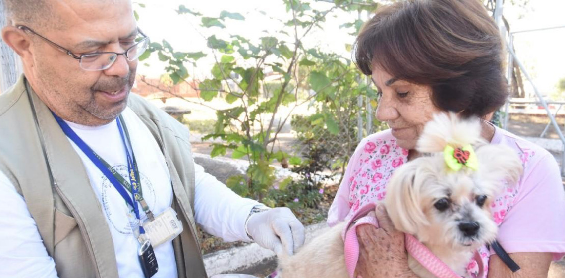 Distrito Federal terá 90 locais de vacinação antirrábica neste sábado, 11