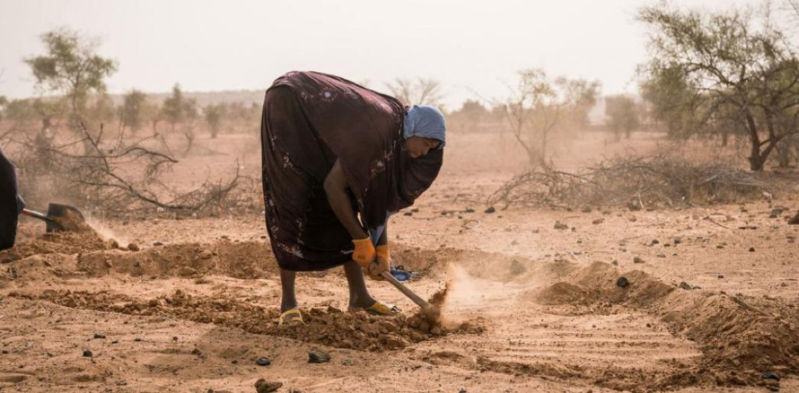 COP30 precisa acelerar ritmo dos planos de adaptação, diz chefe de clima da Organização das Nações Unidas