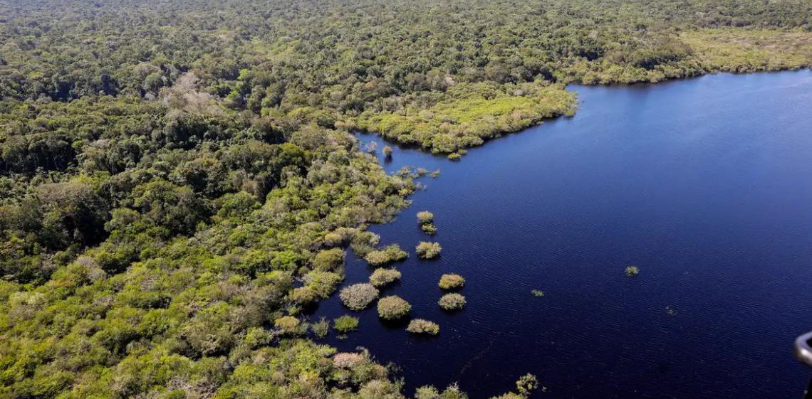 Amazônia e Cerrado registram queda de 11% no desmatamento